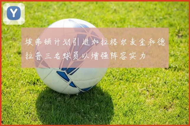 埃弗顿计划引进加拉格尔麦金和德拉普三名球员以增强阵容实力